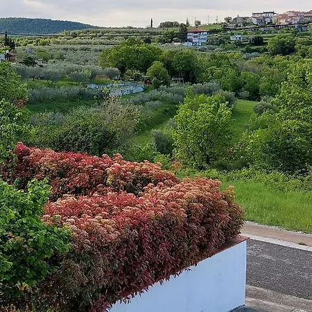 Apartment Aliana