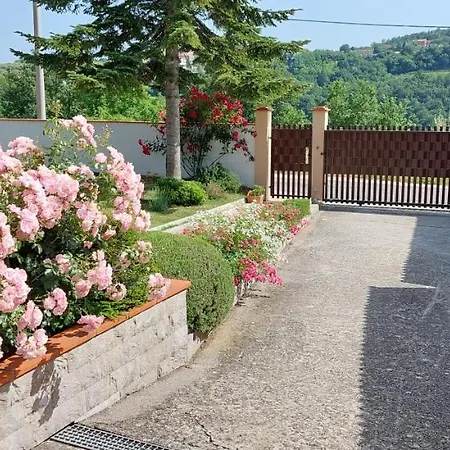 Aliana Appartement *